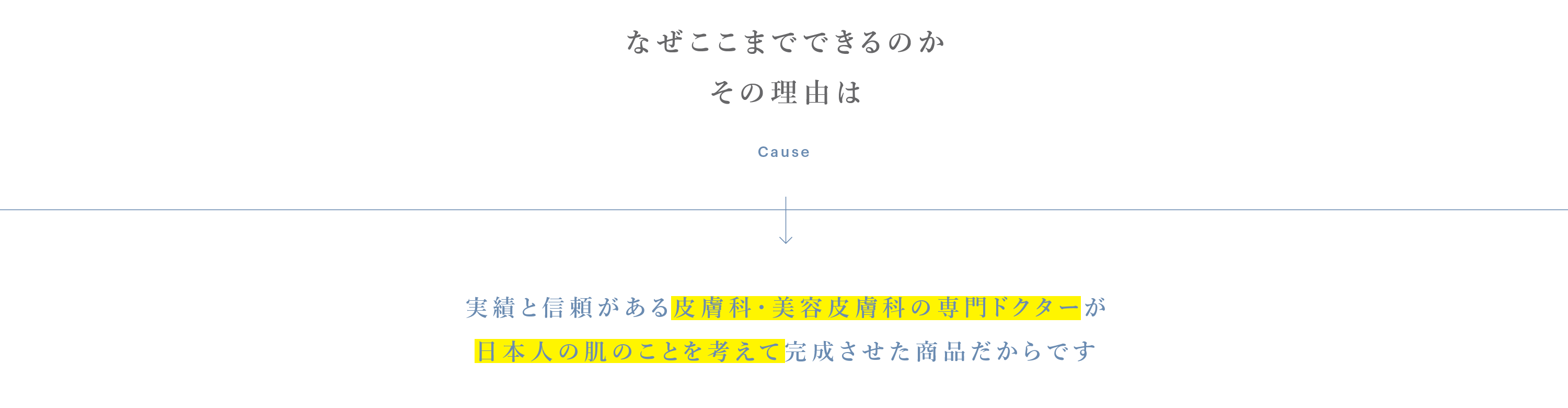 開発の経緯